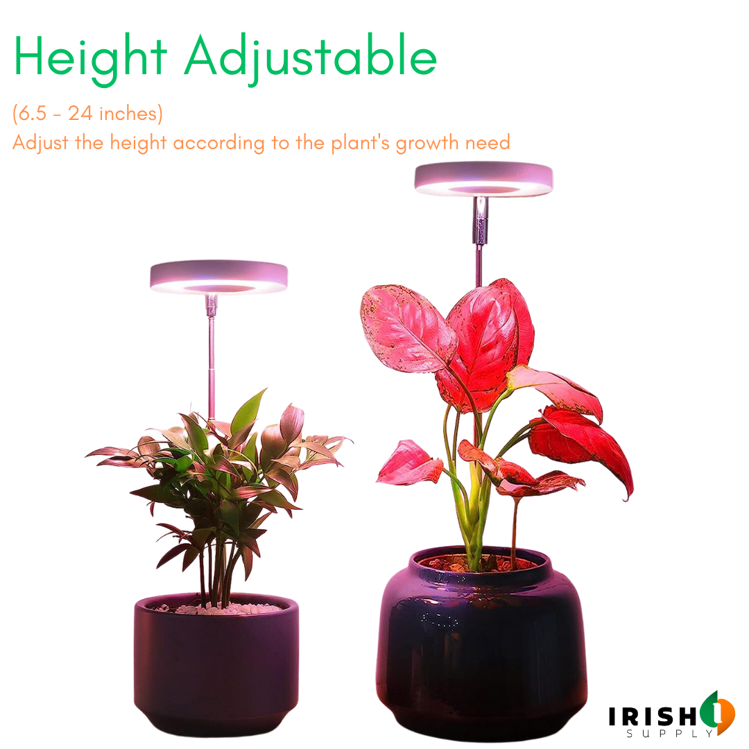 Irish Supply, GROWHALO Ring Grow Lights for Indoor Plants
