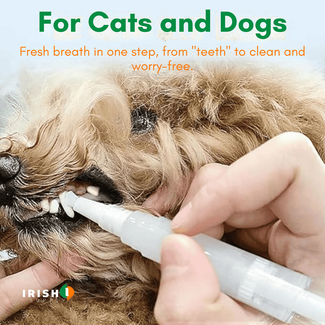 CLEANBITE Pet Toothbrush Pen