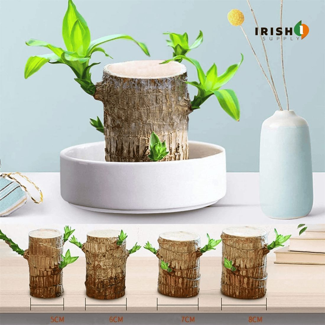 FORTUNELEAF Brazilian Wooden Hydroponic Tree