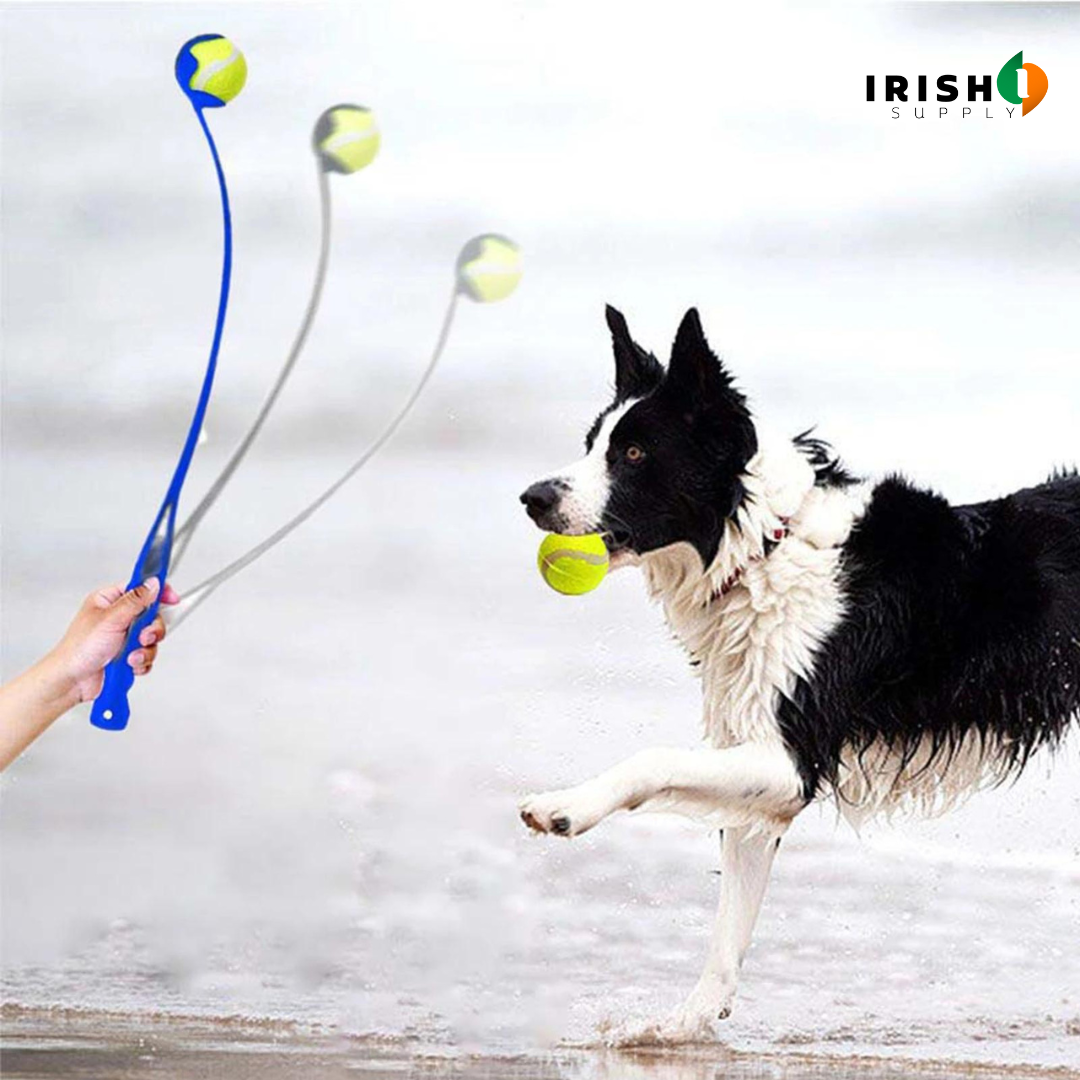 Irish Supply, TENNISTOSS Pet Tennis Ball Launcher
