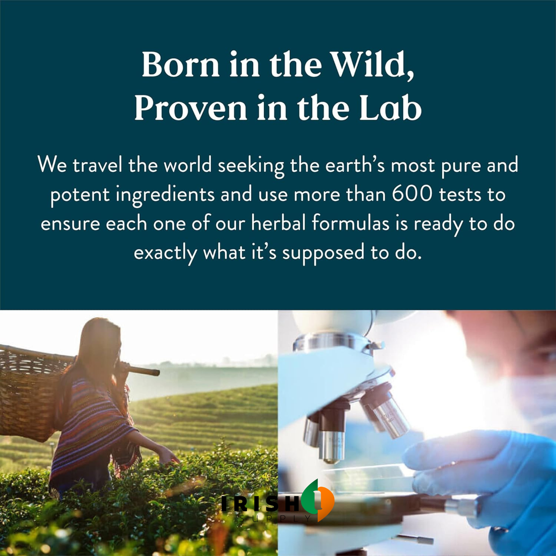 PUREFLOW Lymphatic Detox and De-Bloat Drops (59mL)