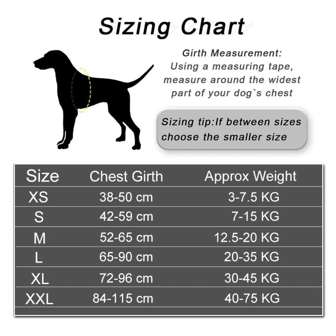 SafeWalk Personalized Anti Choke Dog Harness