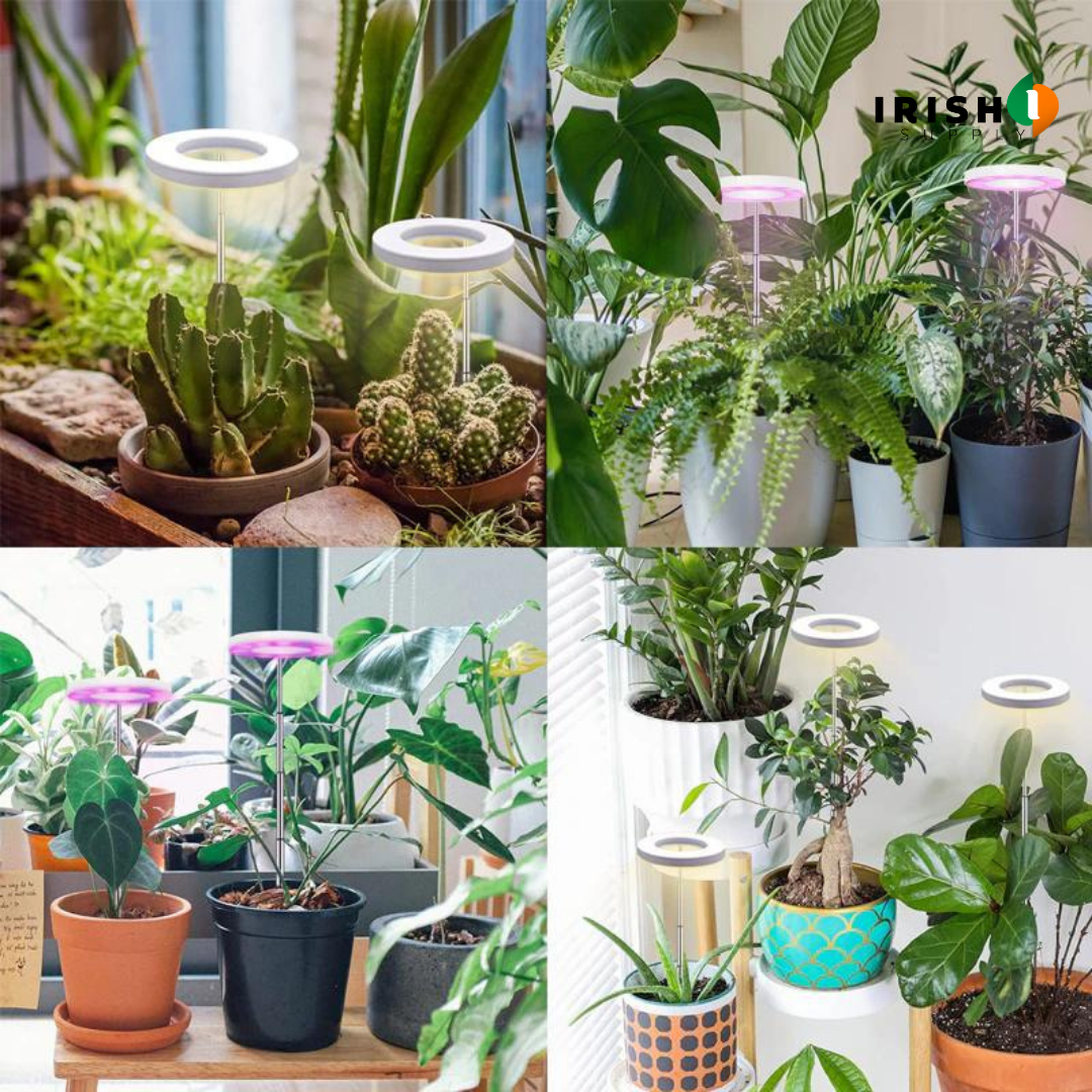 Irish Supply, GROWHALO Ring Grow Lights for Indoor Plants