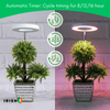 Irish Supply, GROWHALO Ring Grow Lights for Indoor Plants