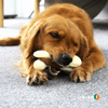 Irish Supply, SLANA Calming Dog Chewy