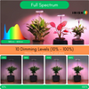 Irish Supply, GROWHALO Ring Grow Lights for Indoor Plants