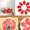 Irish Supply, FRUITSICKLE Watermelon Cutting Mould