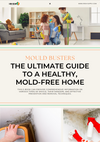 Irish Supply, MOULD BUSTERS: The Ultimate Guide to a Healthy, Mould-Free Home