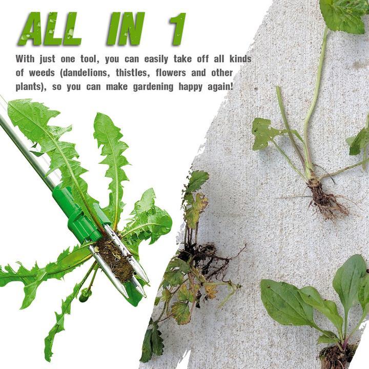 Buy Multi-function TwistRoot